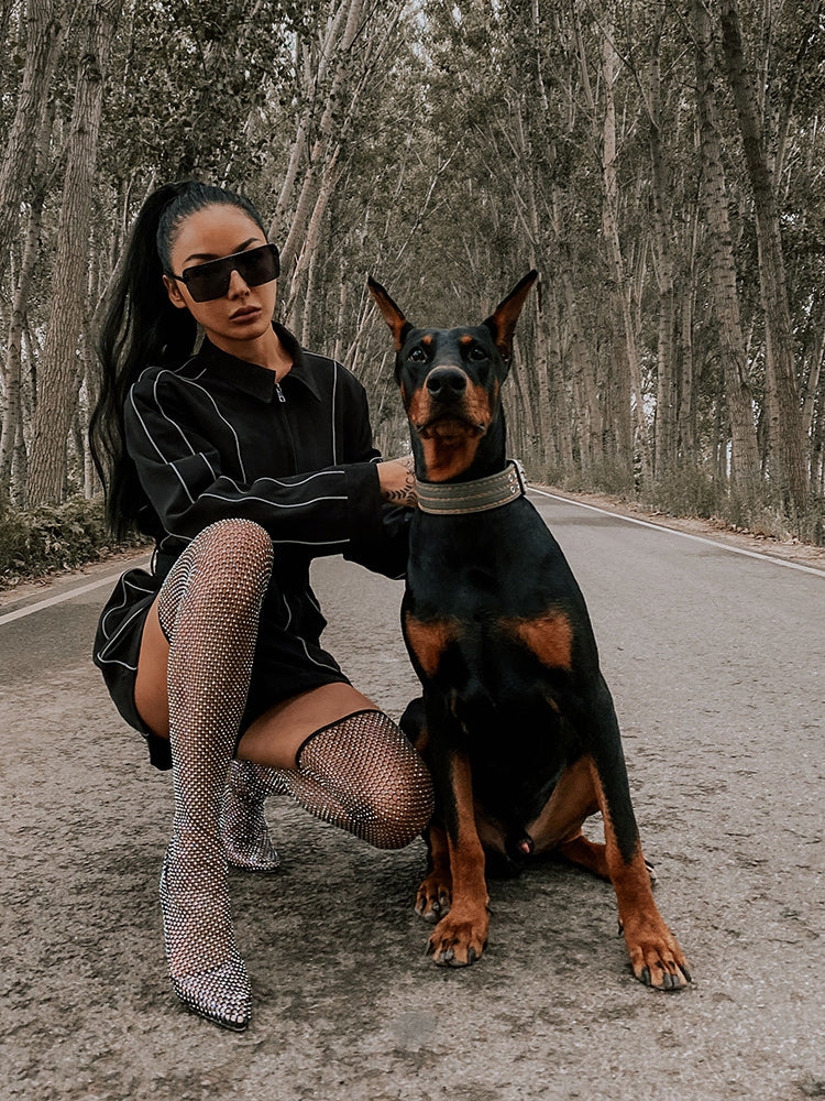 Fashion trendy retro sunglasses