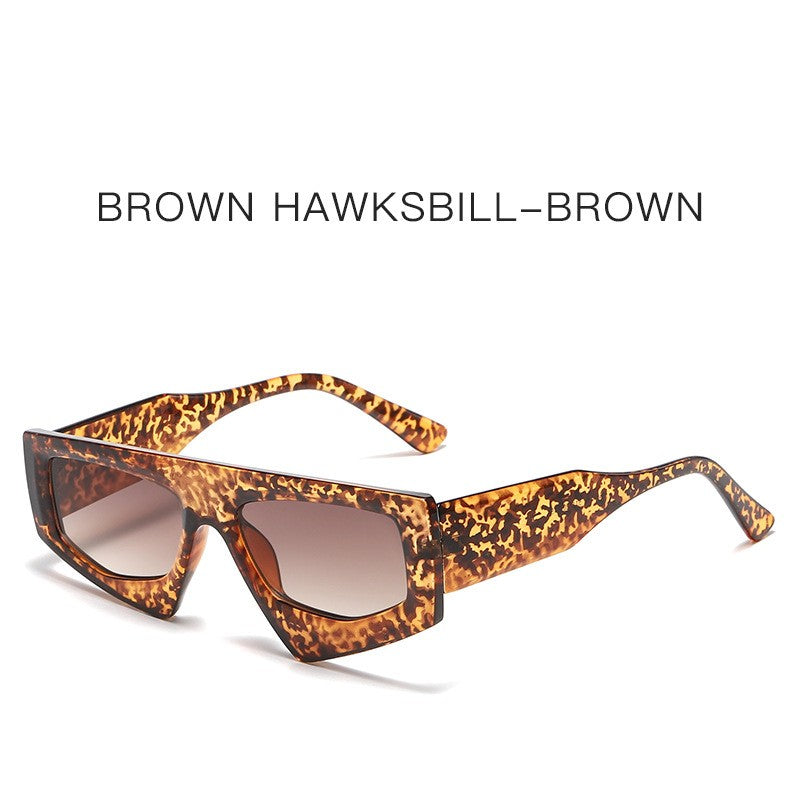 Irregular Triangle Cat-eye Fashion Net Red Street Photo Sunglasses